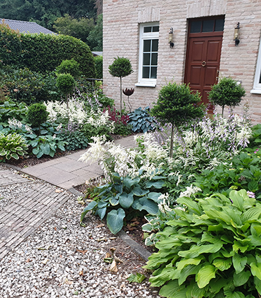 Pflanzarbeiten Umpflanzarbeiten Gartenbau